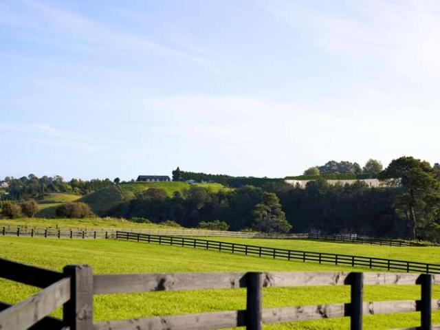 Property for sale in Bay Of Plenty
