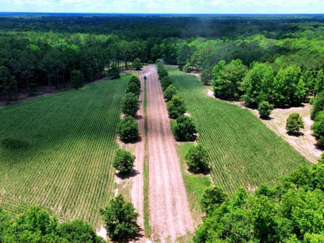 Land for sale in Lodge, South Carolina