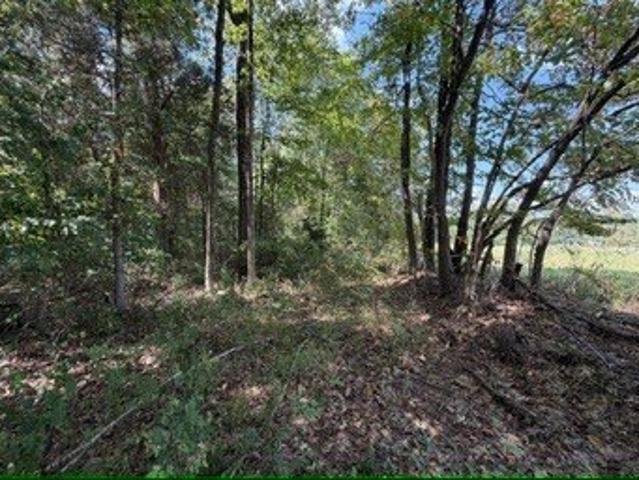 Land for sale in Greenville, Kentucky