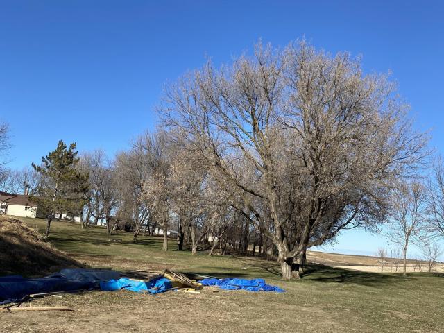 Land for sale in Windom, Minnesota