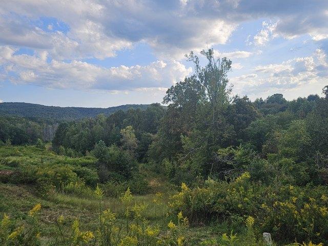 Land for sale in Tennessee