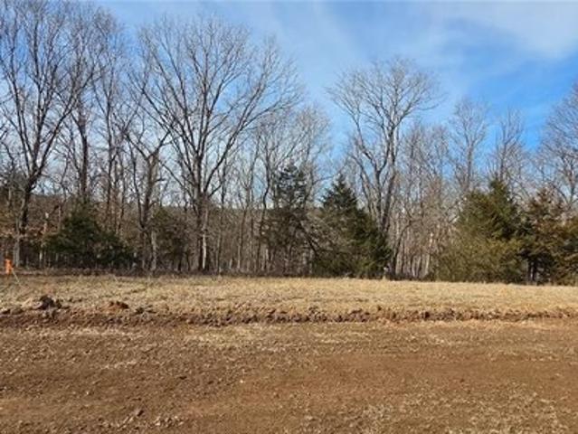 Land for sale in Festus, Missouri