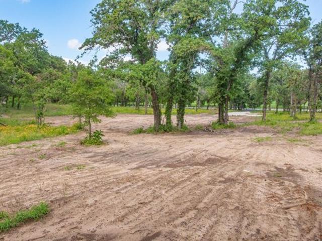 Land for sale in Santo, Texas