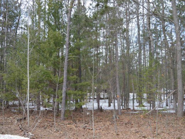 Land for sale in Michigan