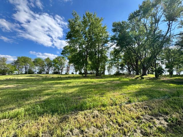 Land for sale in Sidney, Illinois