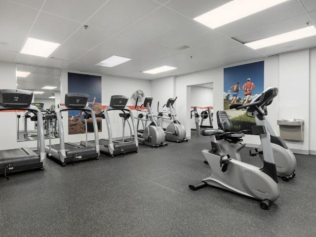 Apartment for rent in Mulhurst Bay, Ontario