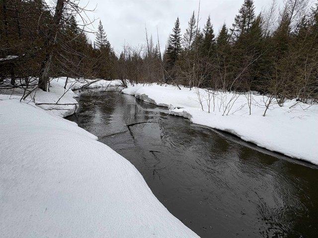 Land for sale in Greensboro, Vermont