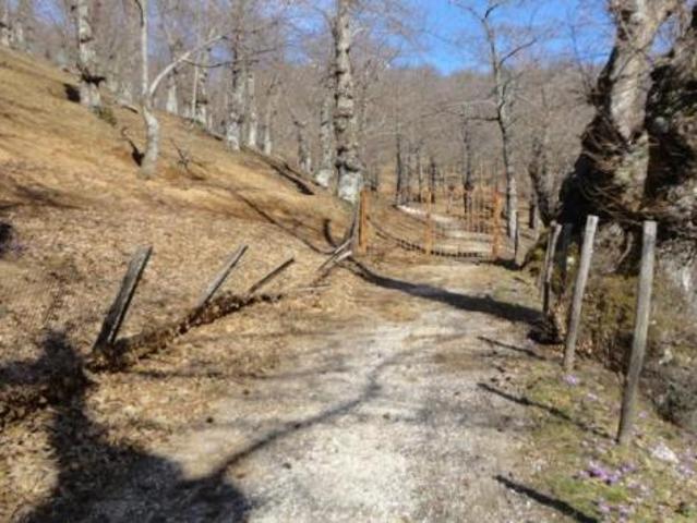 Terreno in vendita a Roccamonfina, Campania