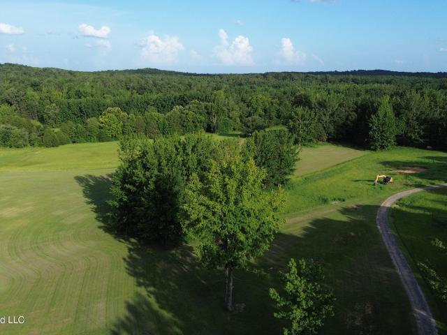 Land for sale in Myrtle, Mississippi