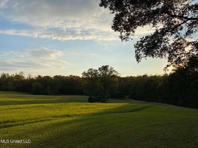 Land for sale in Myrtle, Mississippi
