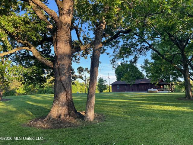 Land for sale in Myrtle, Mississippi