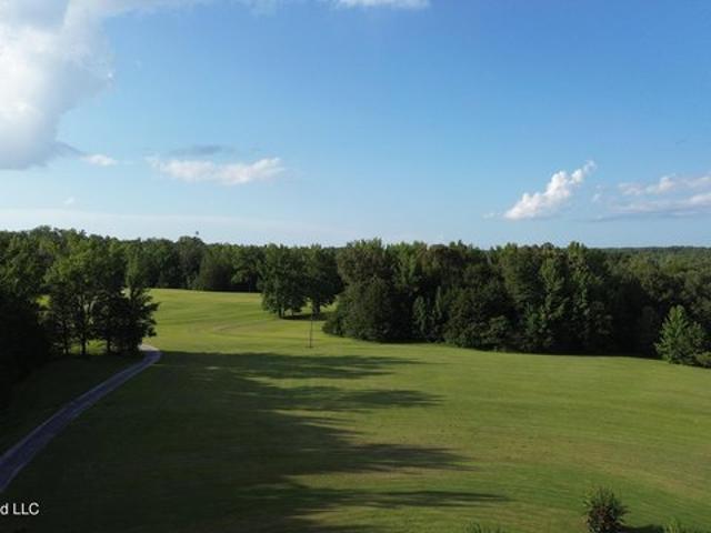 Land for sale in Myrtle, Mississippi