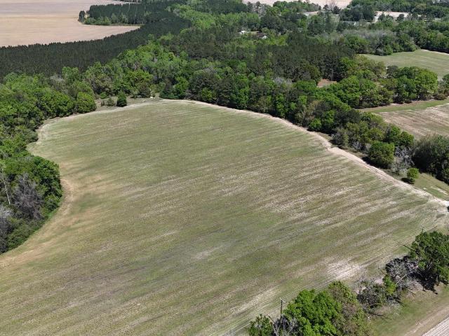 Land for sale in Ochlocknee, Georgia