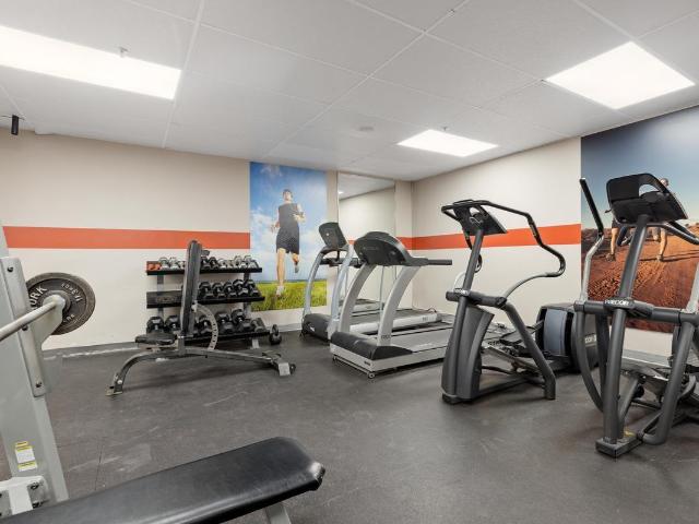 Apartment for rent in Mulhurst Bay, Ontario