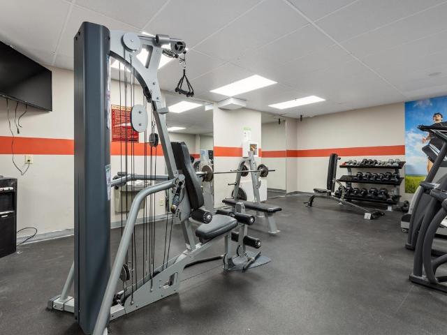 Apartment for rent in Mulhurst Bay, Ontario