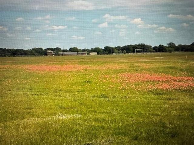 Land for sale in Wills Point, Texas