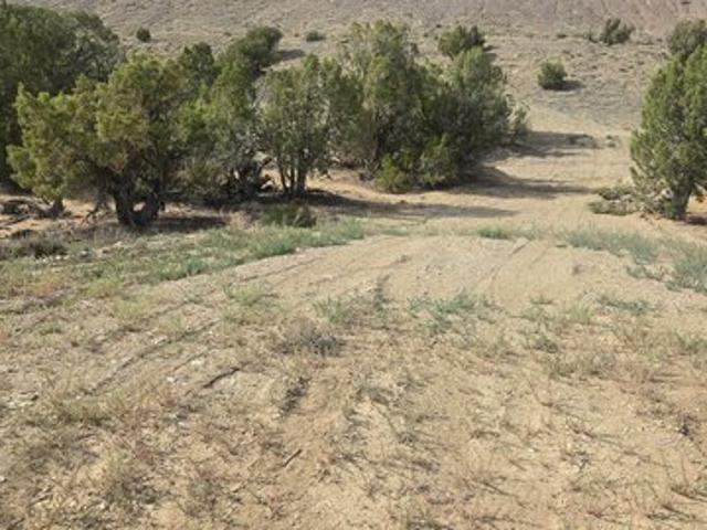 Land for sale in Duchesne, Utah