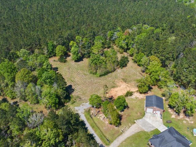 Land for sale in Walker, Louisiana