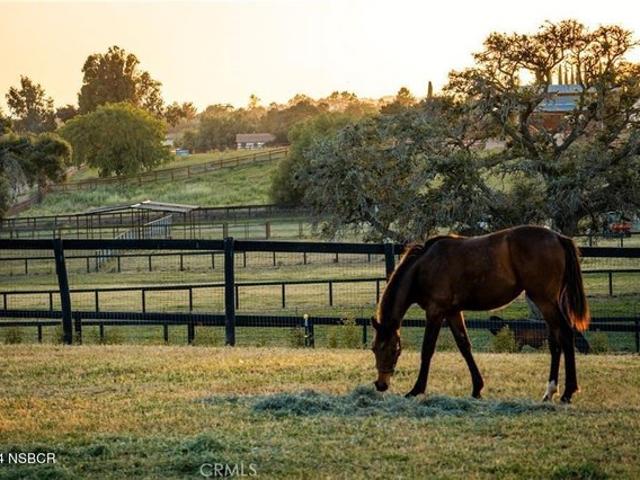 Land for sale in Santa Ynez, California