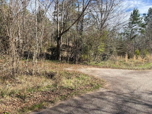 Land for sale in Abbeville, South Carolina