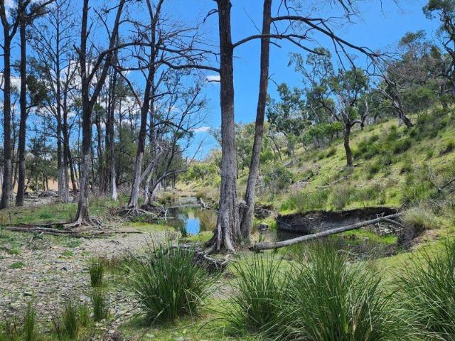 Cottage for sale in Stanthorpe, Queensland