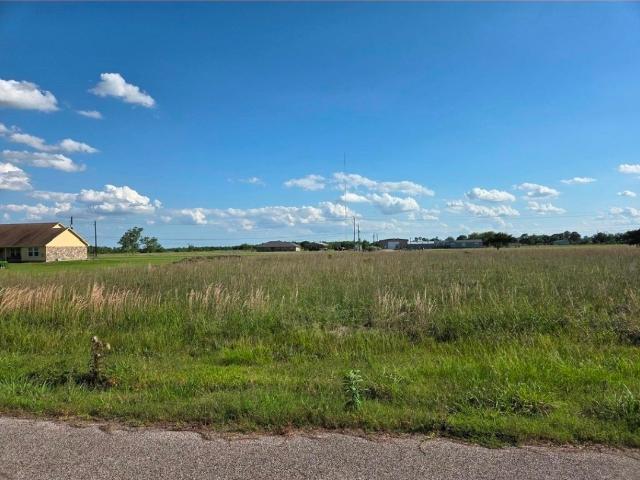 Land for sale in Liverpool, Texas