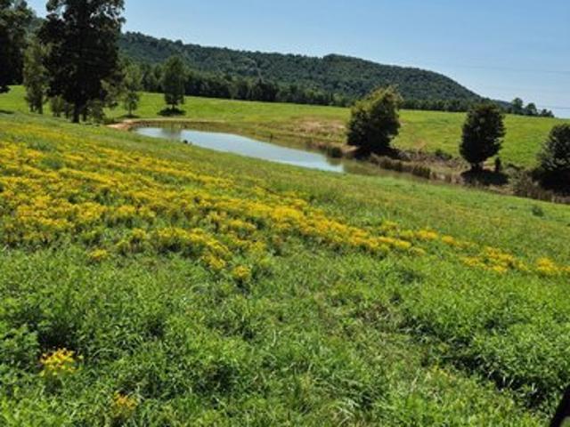 Land for sale in Tennessee