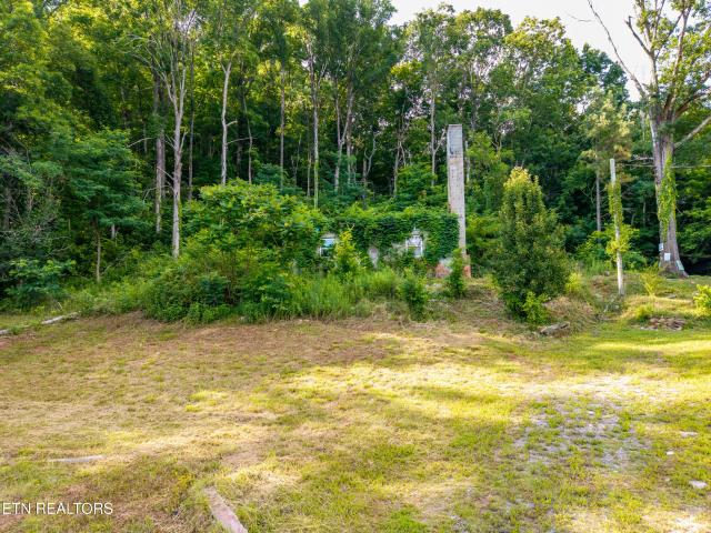 Land for sale in Tennessee
