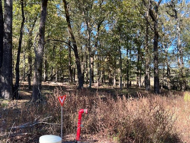 Land for sale in Broken Bow, Oklahoma