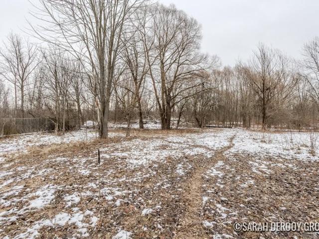 Land for sale in Cedar Springs, Michigan