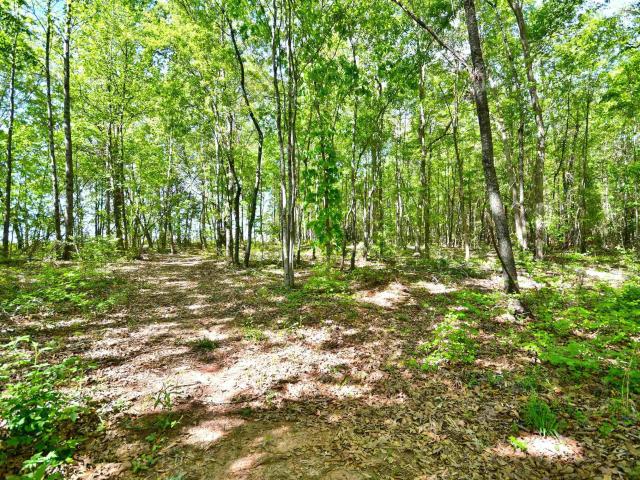 House for sale in Wellford, South Carolina