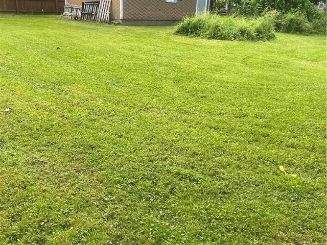 Land for sale in Cayuga, New York