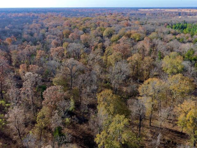 Land for sale in Lamar, Texas
