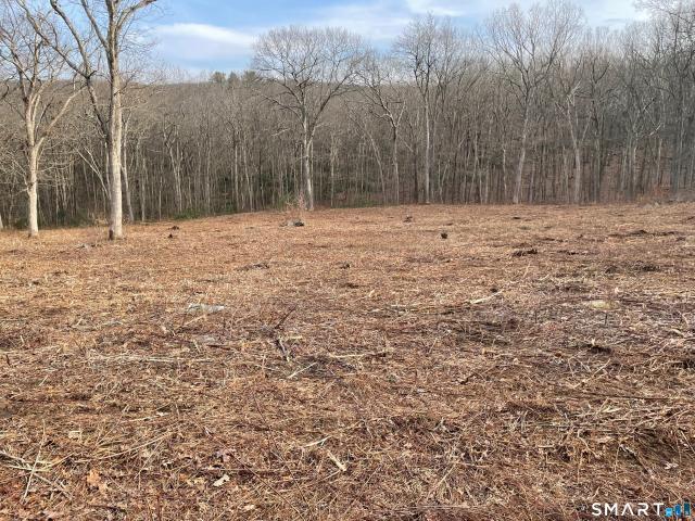 Land for sale in Washington, Connecticut