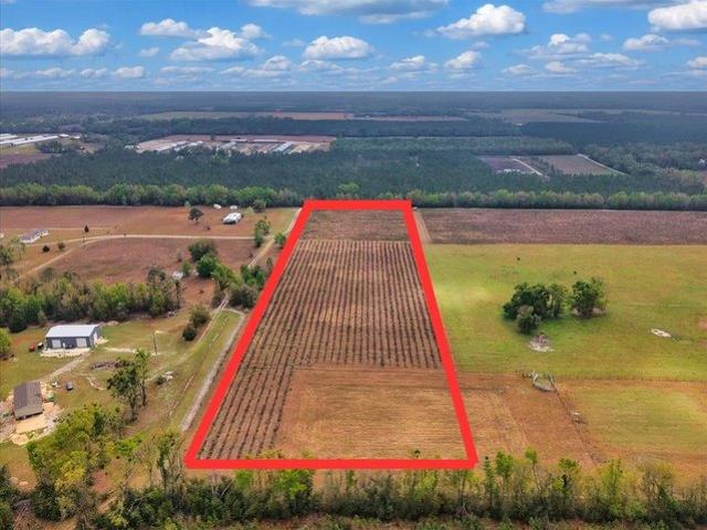 Land for sale in Suwannee, Florida