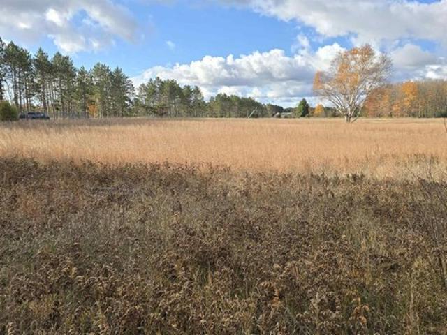 Land for sale in South Boardman, Michigan