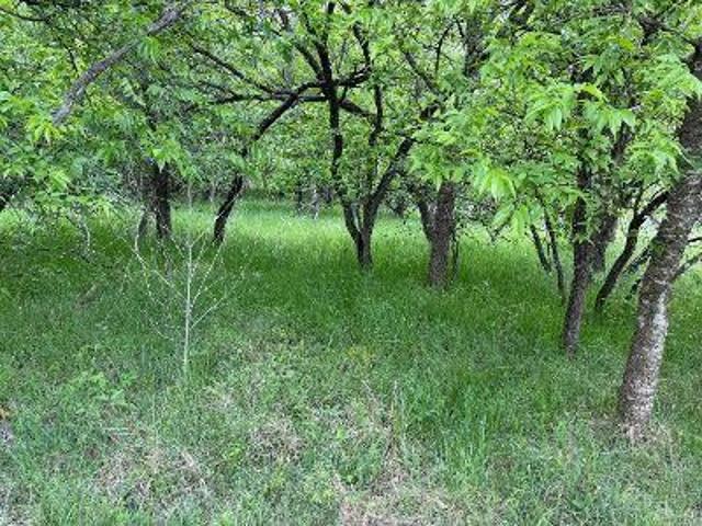 Land for sale in Aquilla, Texas