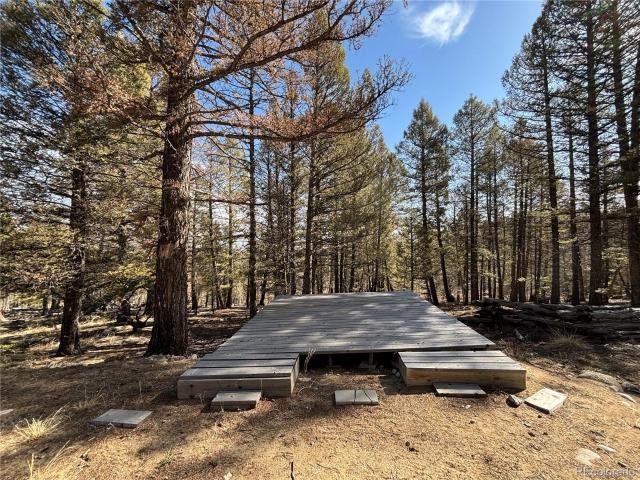 Land for sale in Hartsel, Park County