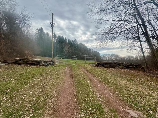 Land for sale in Davenport, New York