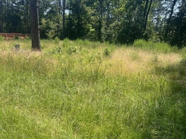 Land for sale in Conroe, Texas