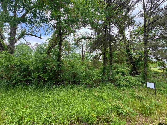Land for sale in Smith, Texas