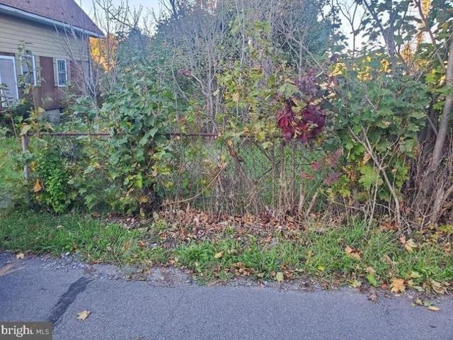 Land for sale in Midland, Maryland