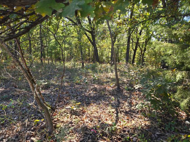 Land for sale in White Cloud, Wheatland