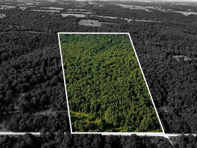 Land for sale in Wheatland, Hickory County