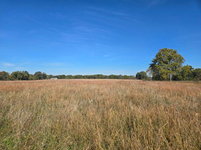Land for sale in White Cloud, Wheatland