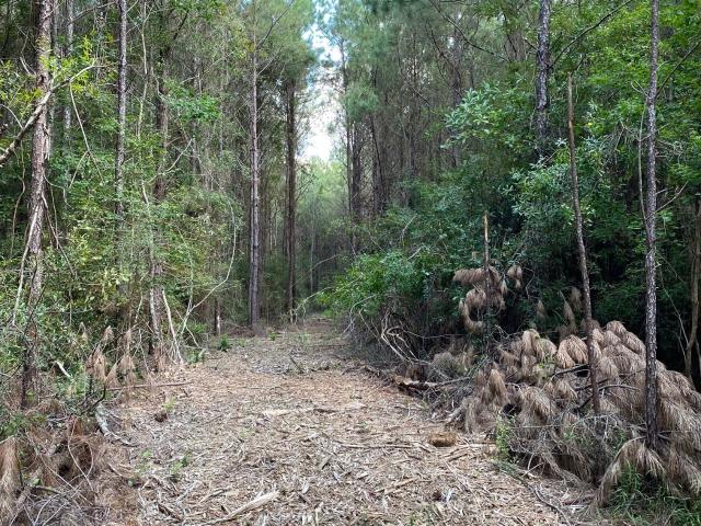 Land for sale in Kountze, Texas