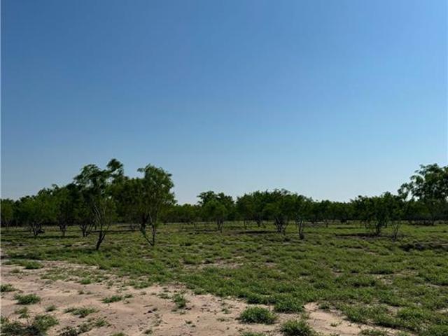 Land for sale in Hidalgo, Texas