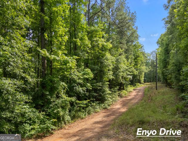 Land for sale in Spalding, Georgia
