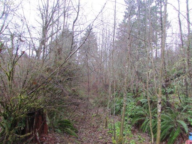 Land for sale in Silverton, Marion County
