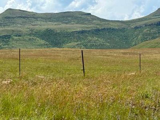Farm for sale in Harrismith, Free State